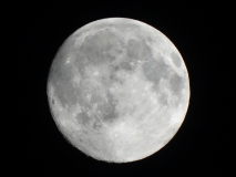 DSC00676