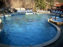 IMG 0263