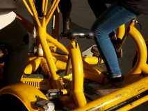 IMG 0352