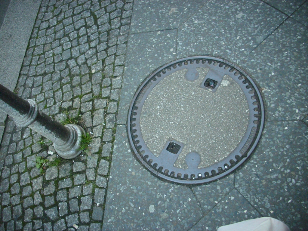 IMG 0424