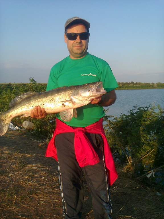 Снимка0115