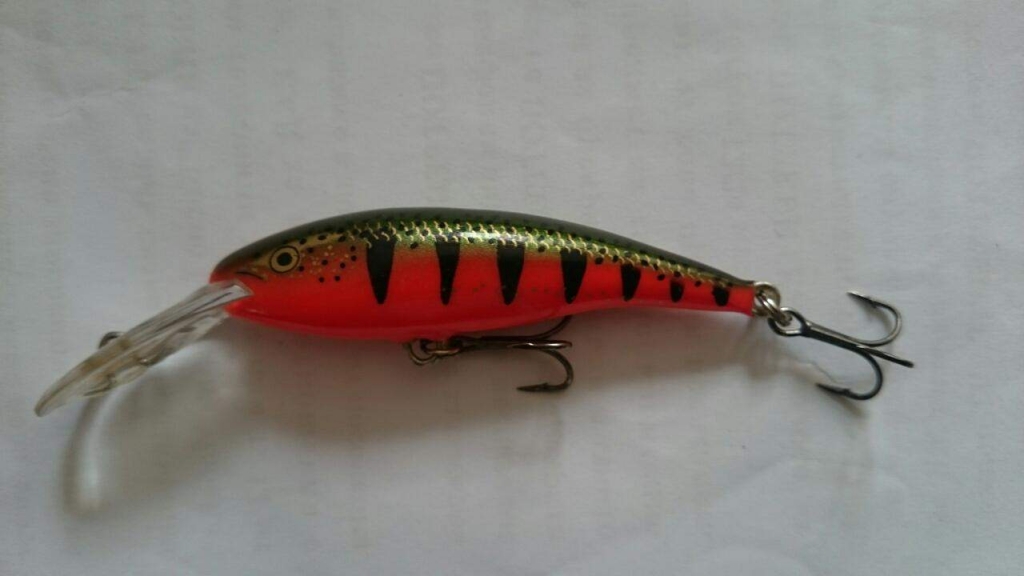 Tail