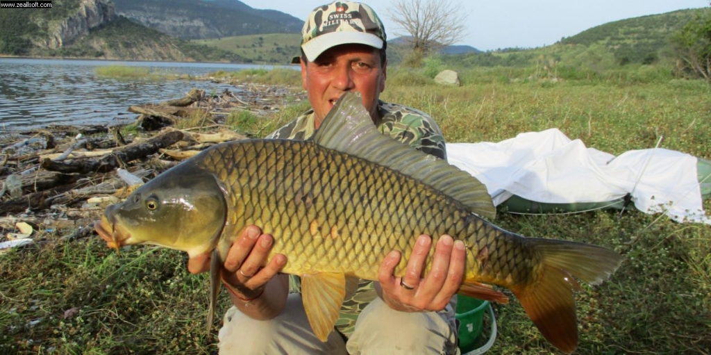 шерен 5