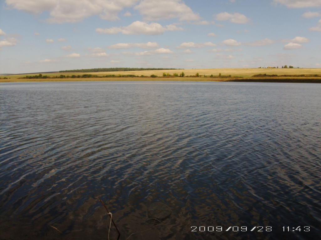 PICT0198