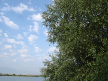 DSC00346