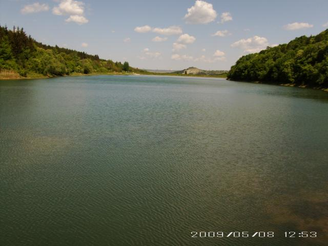 Пчелина-6.jpg