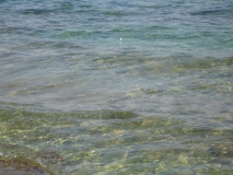 DSC00648