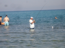 DSC00695