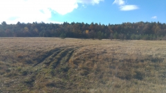 20161030_091009