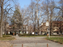 DSC00991