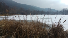 20161224_113122