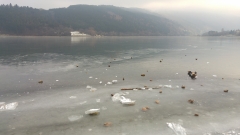 20161224_122821