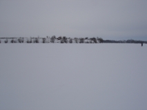 DSC01194