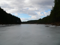 Izgled