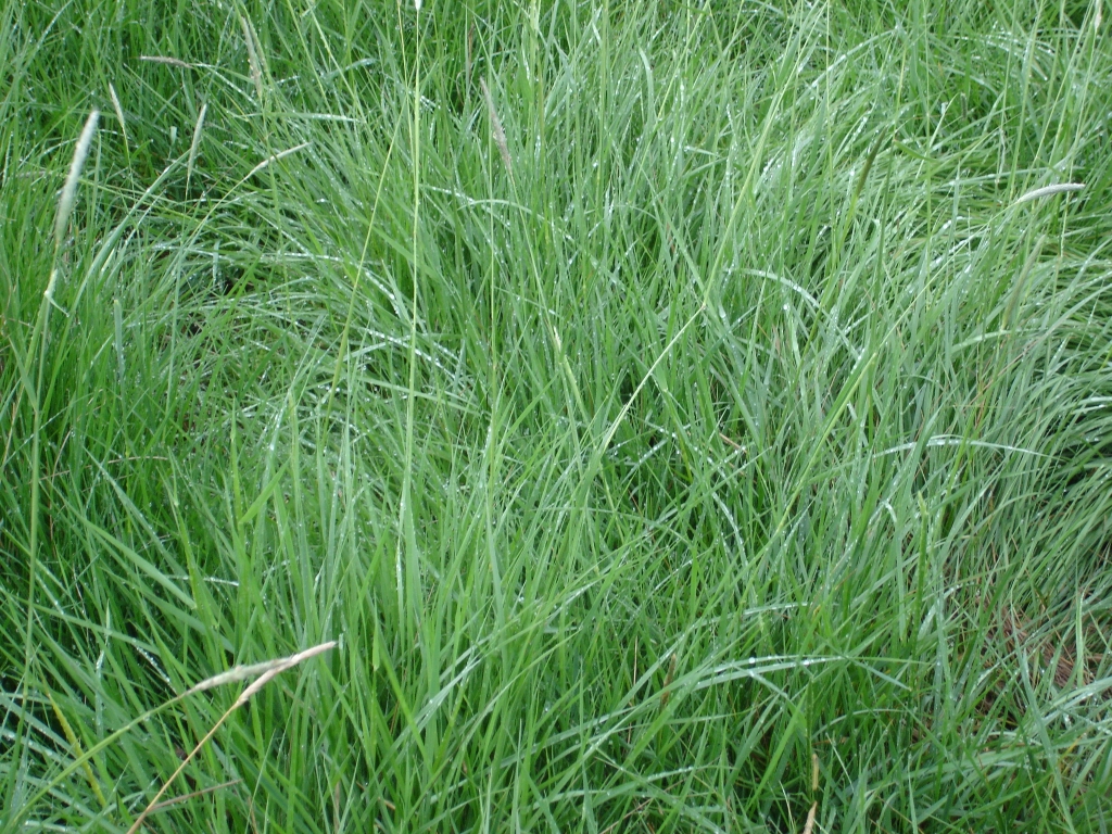 DSC01340