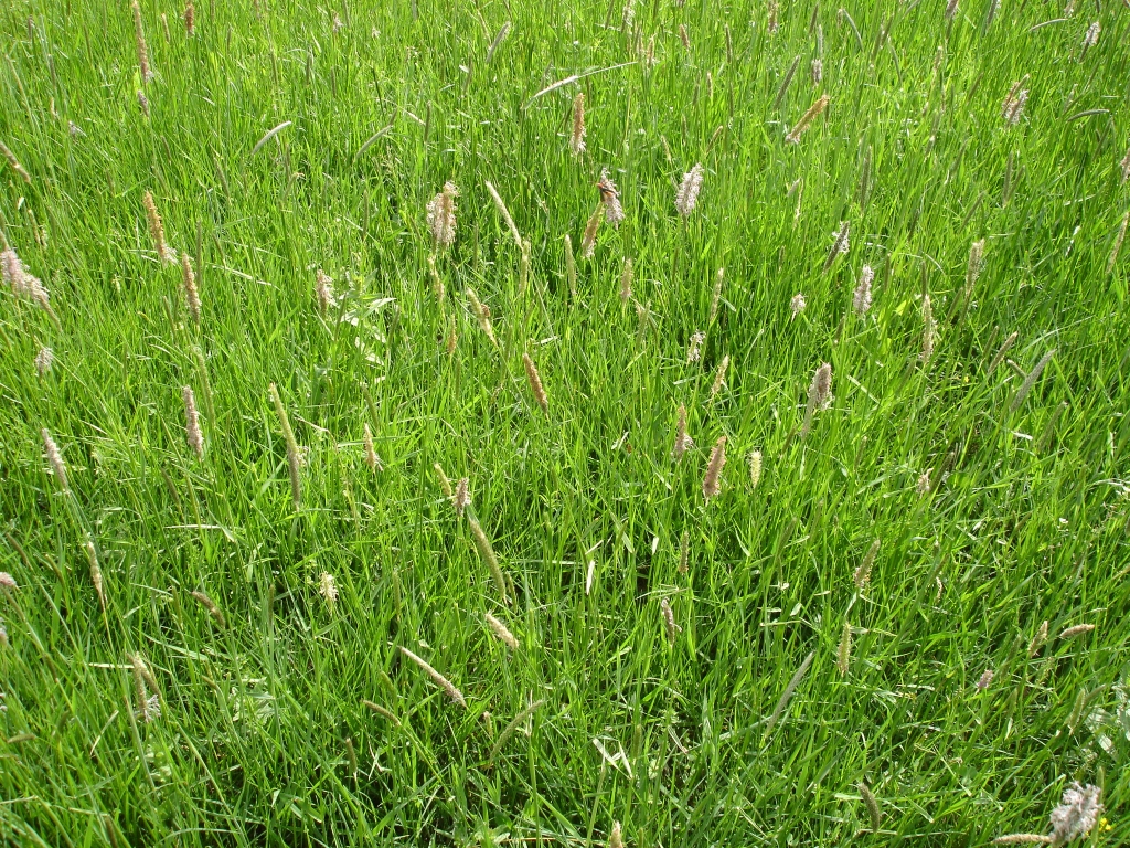 DSC01392