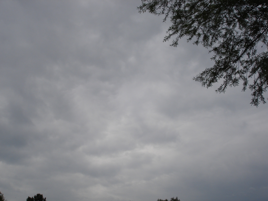DSC01807