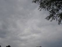 DSC01807
