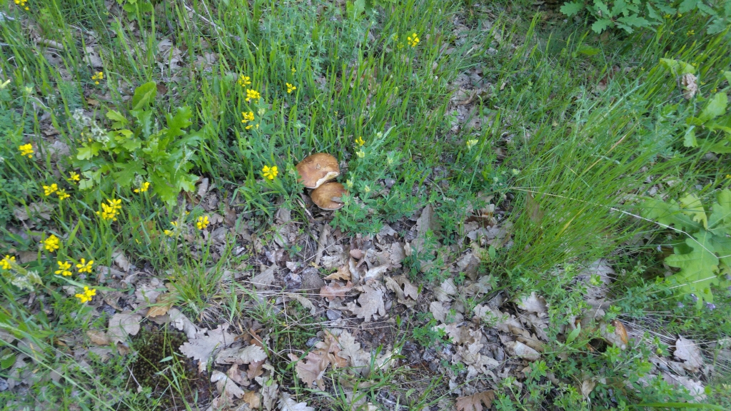 20170601_080410