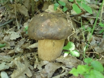 DSC01905