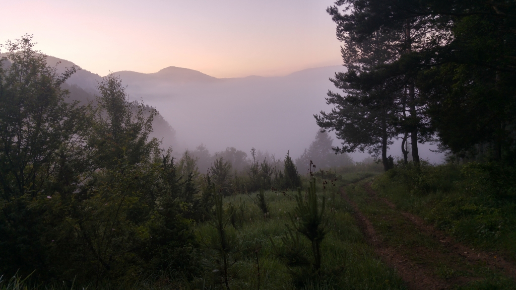 20170613_063901_HDR