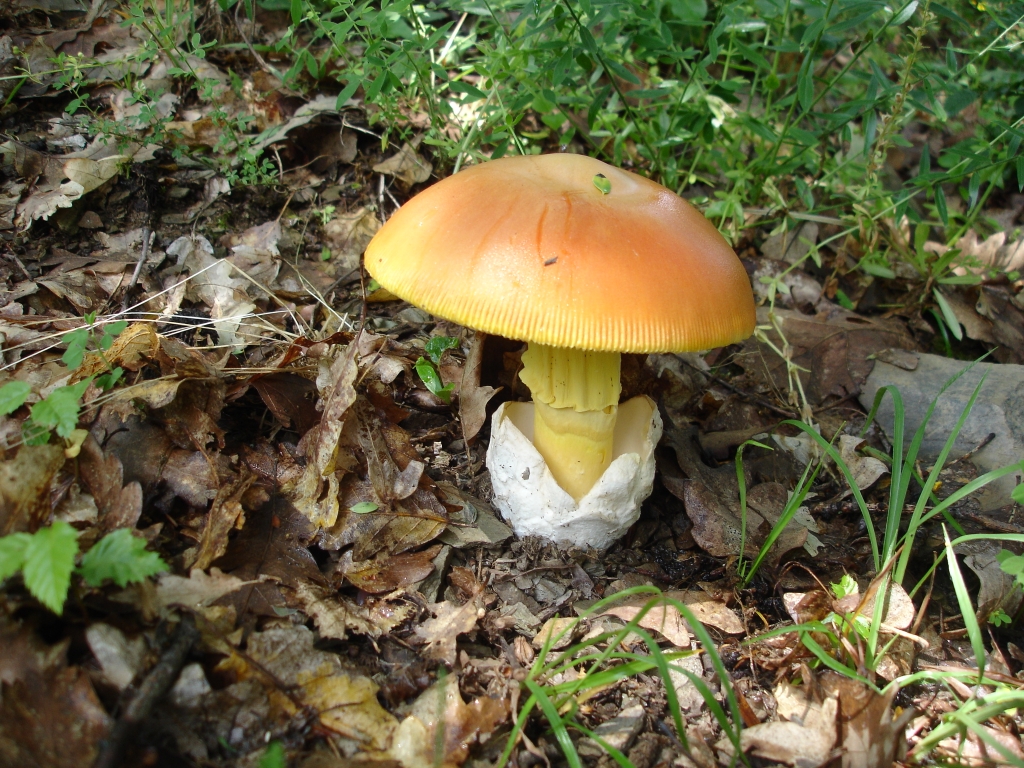 DSC01947