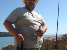 DSC01993