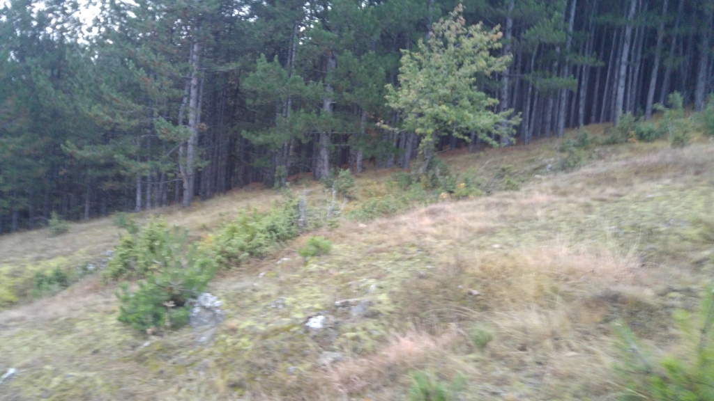 20170930_073248