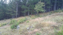 20170930_073248