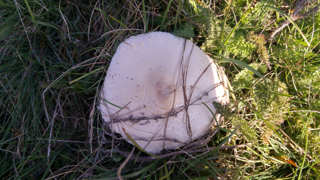 20171015_103341_HDR