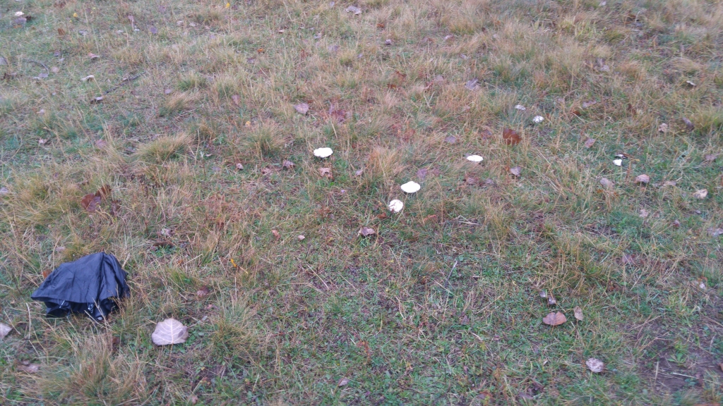 20171025_084221