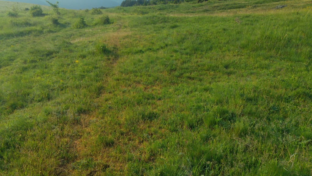 20180508_075033