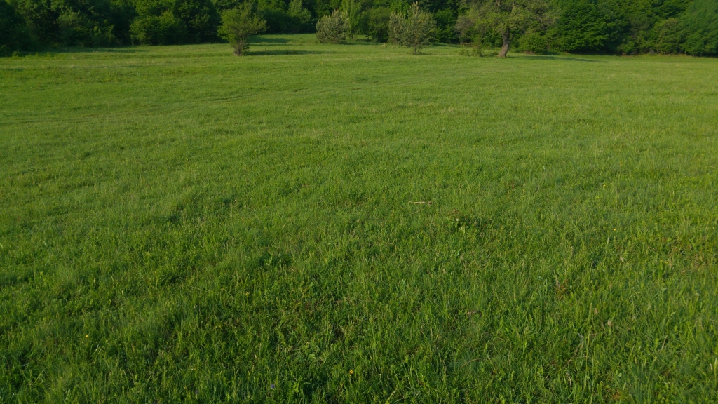 20180508_080807