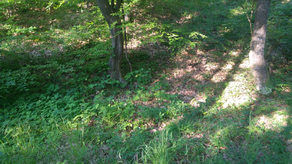 20180526_072720