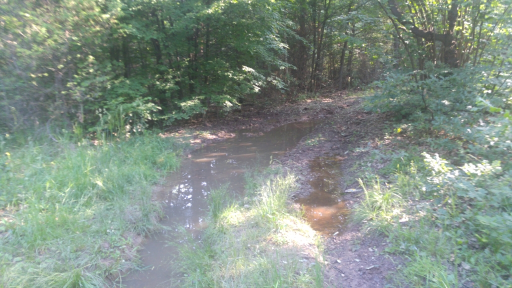 20180612_082848