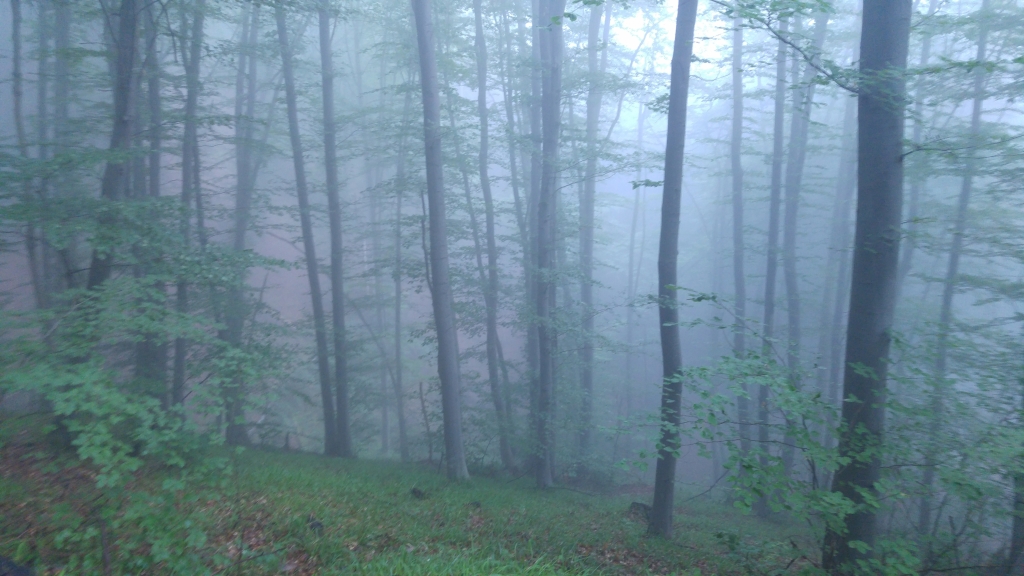 20180617_075004