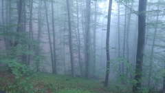 20180617_075004