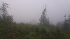 20180712_063827