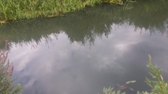 20180817_085516