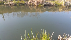 20190402_090014
