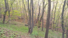 20190424_090443