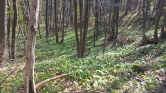 20190424_105944