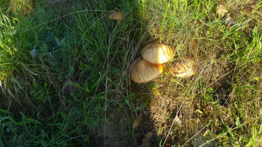 20190518_071903