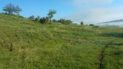 20190518_075551