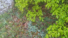 20190518_073650