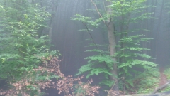 20190607_080224