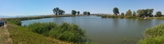 20190821_125145_Pano