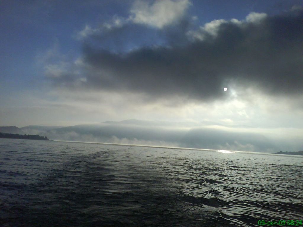 DSC00439