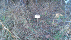 20191015_101305