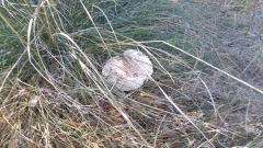 20191015_095832
